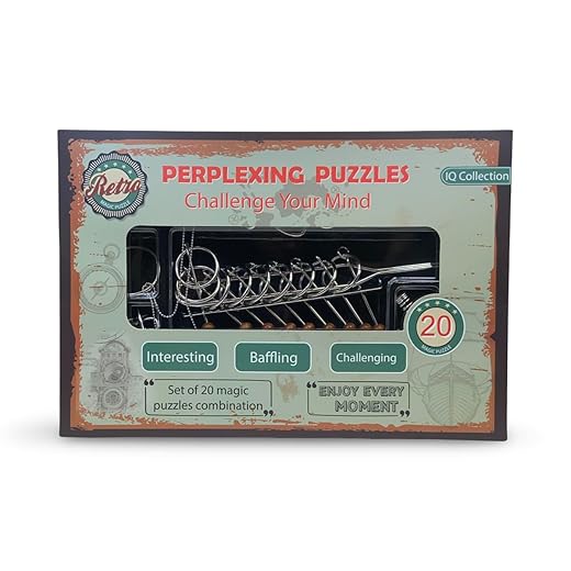 Quebra Cabeça de Metal 20 Peças Enigma Raciocínio e Desafio