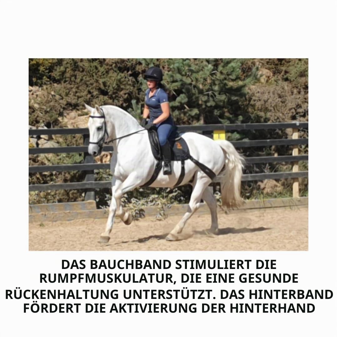 Equine Band System - Dressur Core Conditioning Trainingshilfe für Pferde mit Pro Grade Pferdephysiobändern und Dressurschabracke von Equine Balance Bands.
