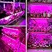 LIGHTIMETUNNEL LED Grow Lights Plant Strips with 4 Dimmable Levels for Plant, 40W Full Spectrum Grow Light with Auto ON/Off 3/6/12H Timing for Greenhouse Plants Seeding