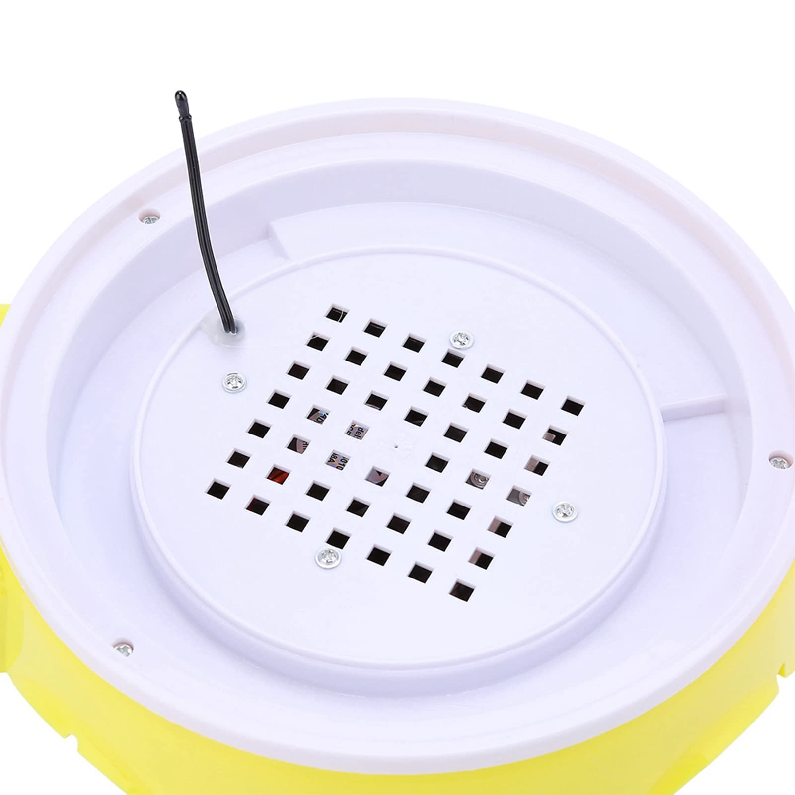 Incubatrice automatica per uova, incubatrice automatica per uova Incubatrice digitale intelligente per uova Mini dispositivo di schiusa Riscaldamento uniforme per uova Pollame Anatra Gallina