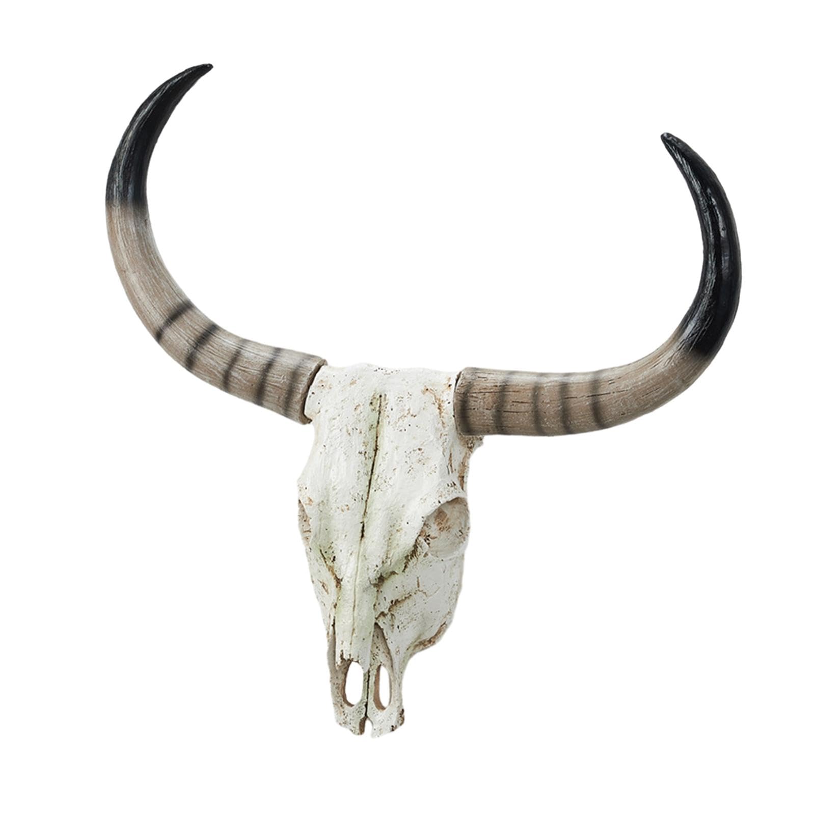 SECRET DESIRE Long Horn Cow Skull Wall Sculpture Animals Heads Wall Decor For Cabinet Home Brown