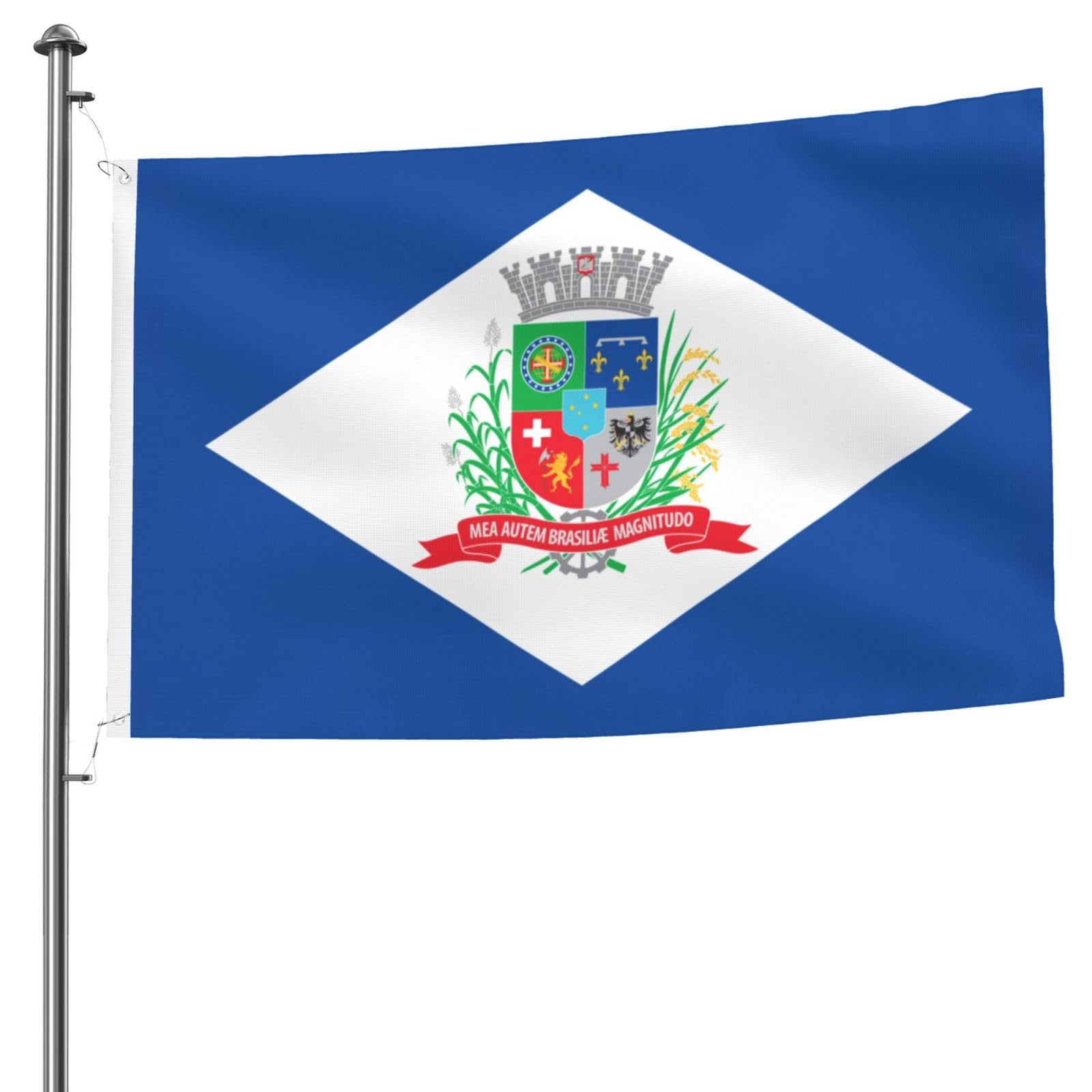 Amazon.com : Double Sided Bandeira De Joinville Flags 5X8FT