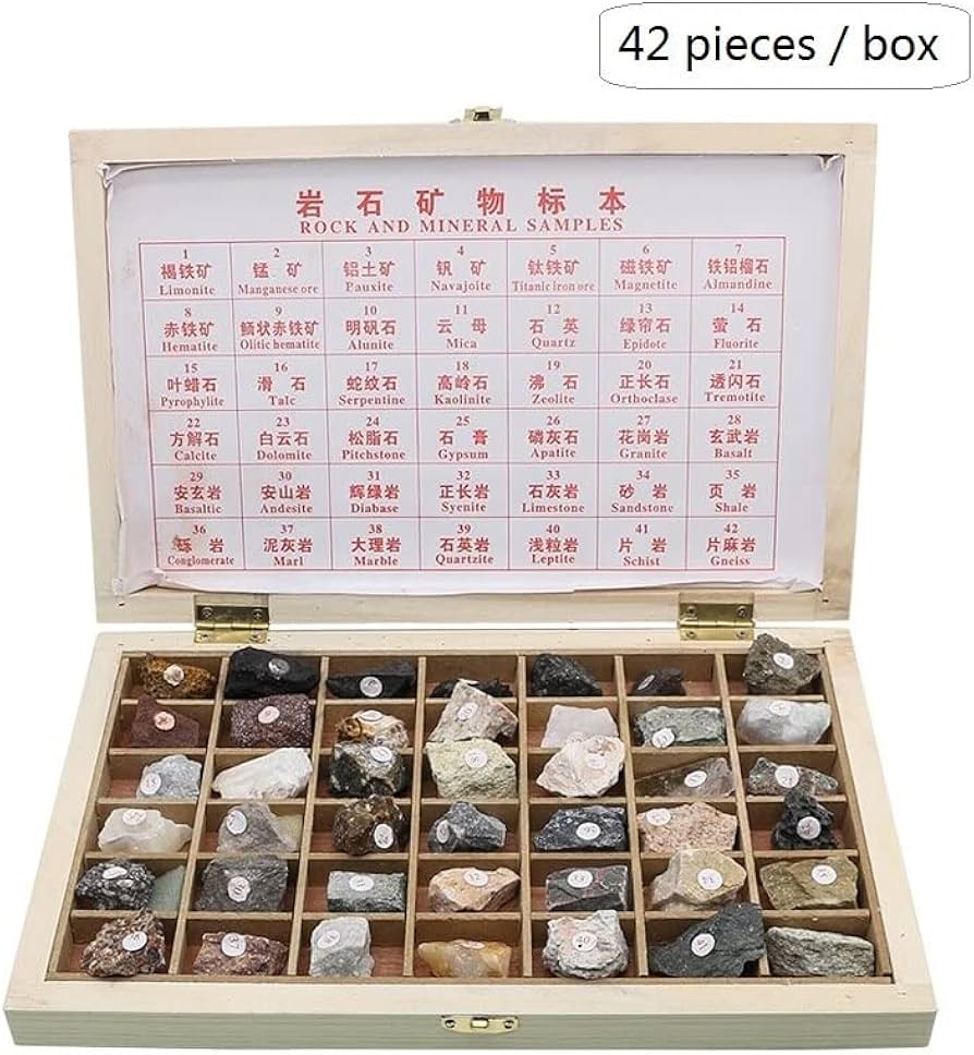 Amazon.co.jp: 実験用顕微鏡スライド 箱の装飾が付いている42部分の