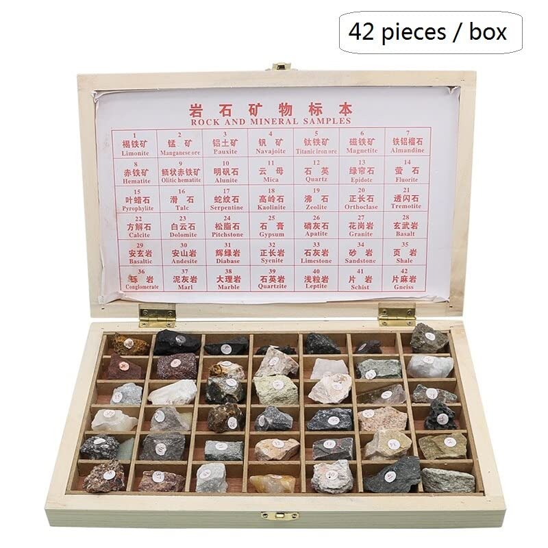 Amazon.co.jp: 実験用顕微鏡スライド 箱の装飾が付いている42部分の