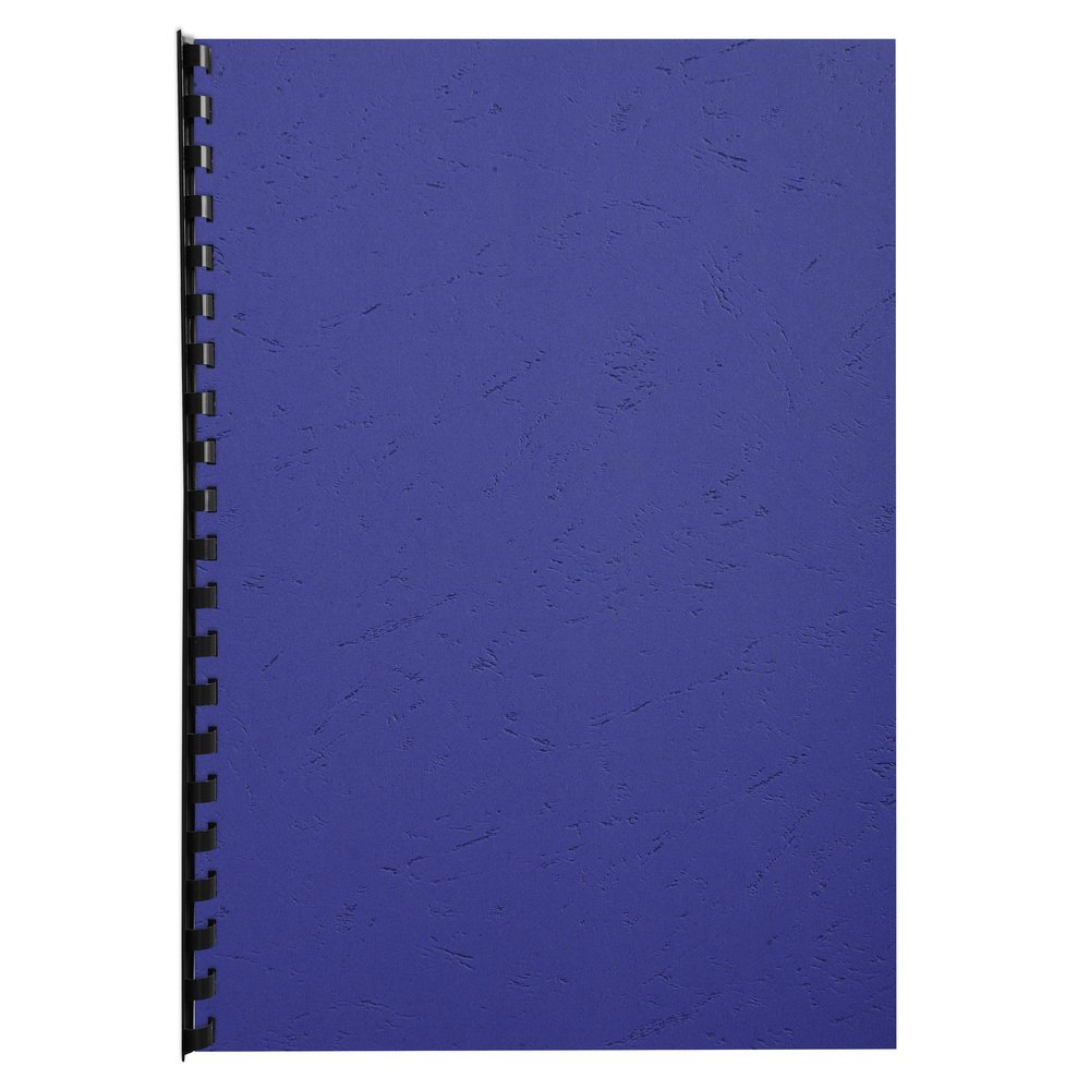 Exacompta 2790C - Lote de 100 cubiertas/cartulinas de dossiers, A4, Azul marino