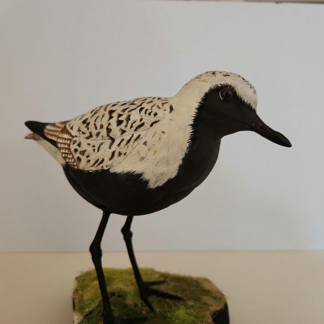 大型のチドリ　「ダイゼン」　木彫りの野鳥　バードカービング　野鳥彫刻 Amazon.co.jp: 大型のチドリ 「ダイゼン」 木彫りの野鳥 バード
