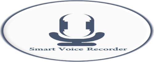 Gravador de Voz Inteligente HD