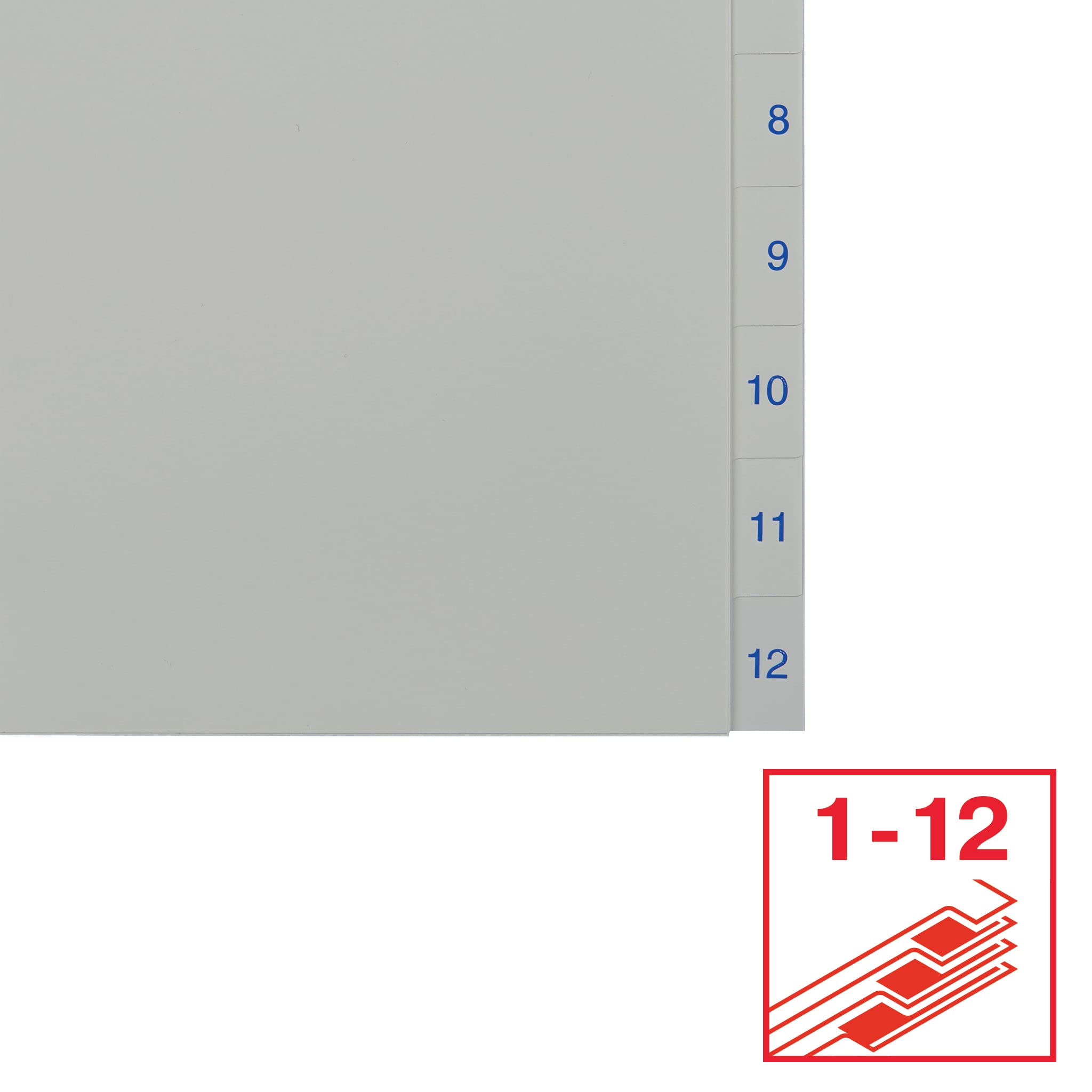 Amazon | Esselte 100153 インデックス A4 12仕切り用 1-12の数字付き