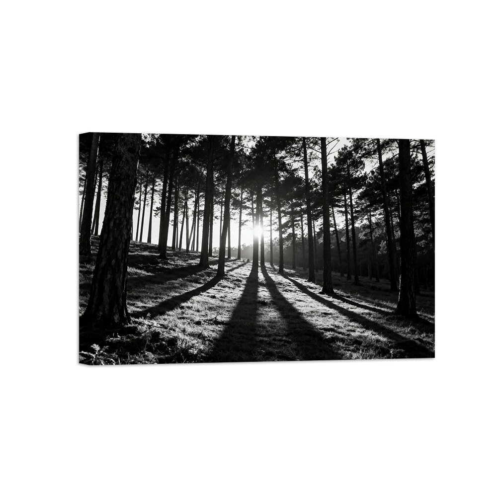 OZPWBVY Black and White Landscape Print Painting-Forest Tree Sunshine 5-Minimalist Canvas Wall Art Picture for Home Ready to Hang 12x18in 30x45cm Wrapped Canvas