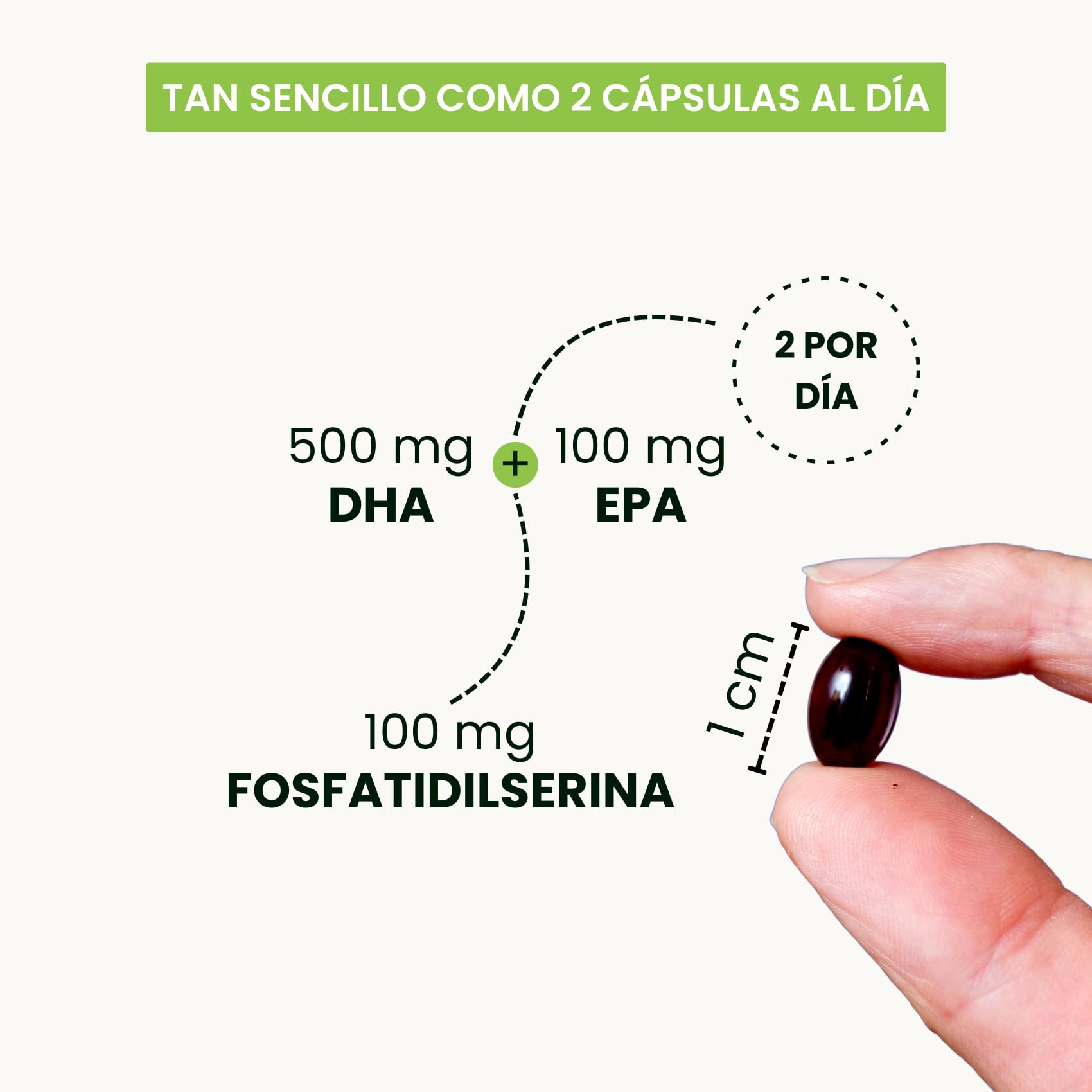 500 mg Omega 3 DHA TG (Triglicéridos) + 100 mg Fosfatidilserina Sin Soja - Memoria y Concentración - Embarazo y Lactancia - Alta absorción - 120 Mini-Perlas | DHA-PS Nutribiolite