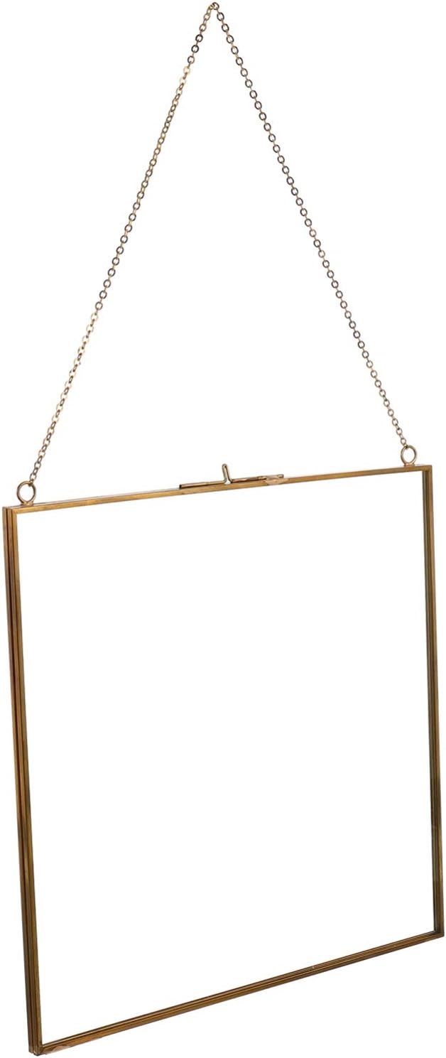 1Pc Transparent Hanging Glass Photo Frame Specimen Clip for Wall Display for Home Cafe and Bar Decor Smooth Craftsmanship for Dried Flowers