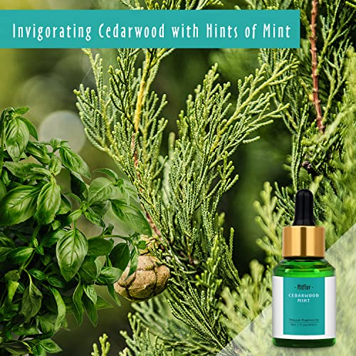Image of Cedarwood Mint Fragrance Oil, MitFlor Single Scented Oil, Premium Grade Fragrance Oil for Candle Making, Soap Making Scents, Large Size Aromatherapy Oil, Forest Scents for Home Fragrance, 30ml