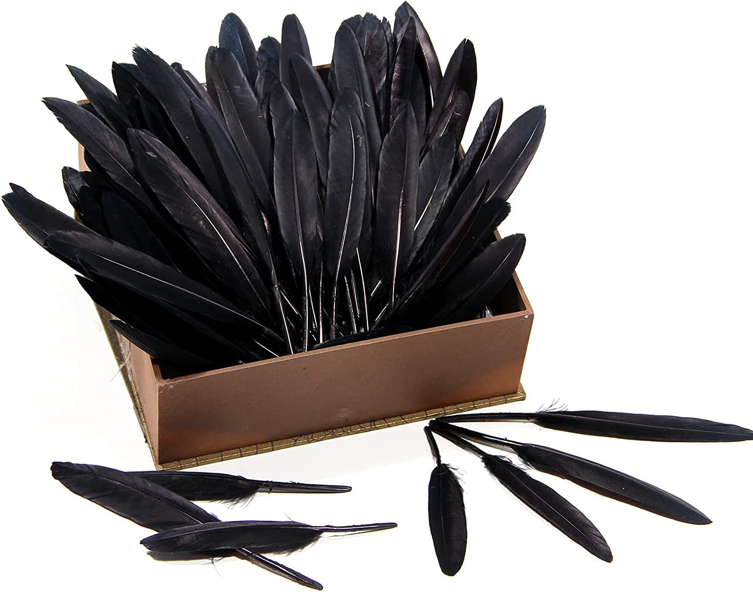 Tiptop Decoration Natural Dyed Premium Goose Feathers Quills (10 Pieces) (10-15 cm) (Raven Black) 3