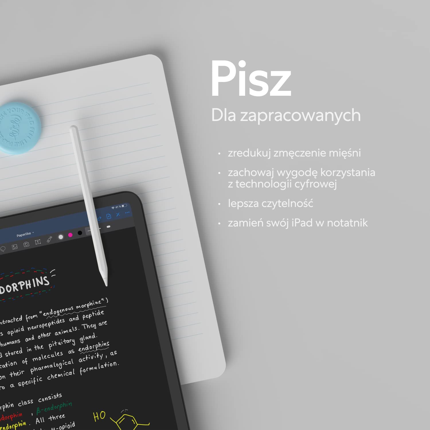 Paperlike 2.1 (2 sztuki) na iPad iPad Pro 13” (2024) - przezroczysta osłona ekranu do notowania i rysowania jak na papierze | (poprzednia wersja) zapewnia autentyczne wrażenie papieru