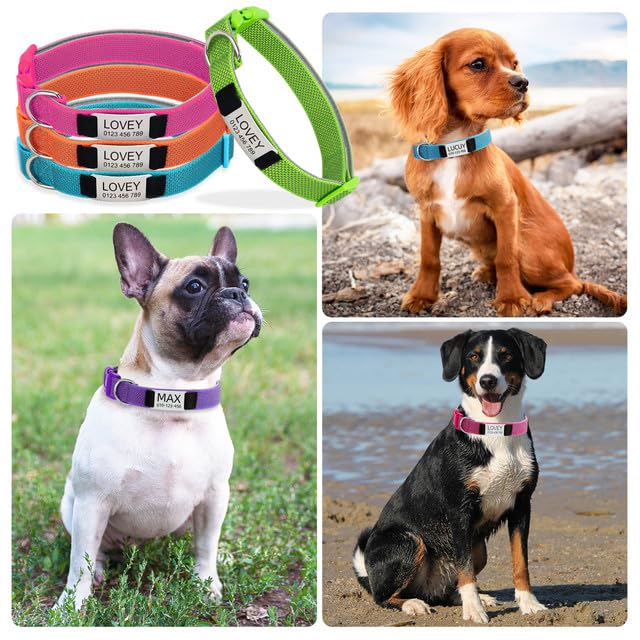 Hundehalsband Personalisiert mit Namen - Hundemarke mit Gravur, Reflektierend Gepolstertes Halsband Hund Verstellbar für Kleine/Mittlere/Große Hunde