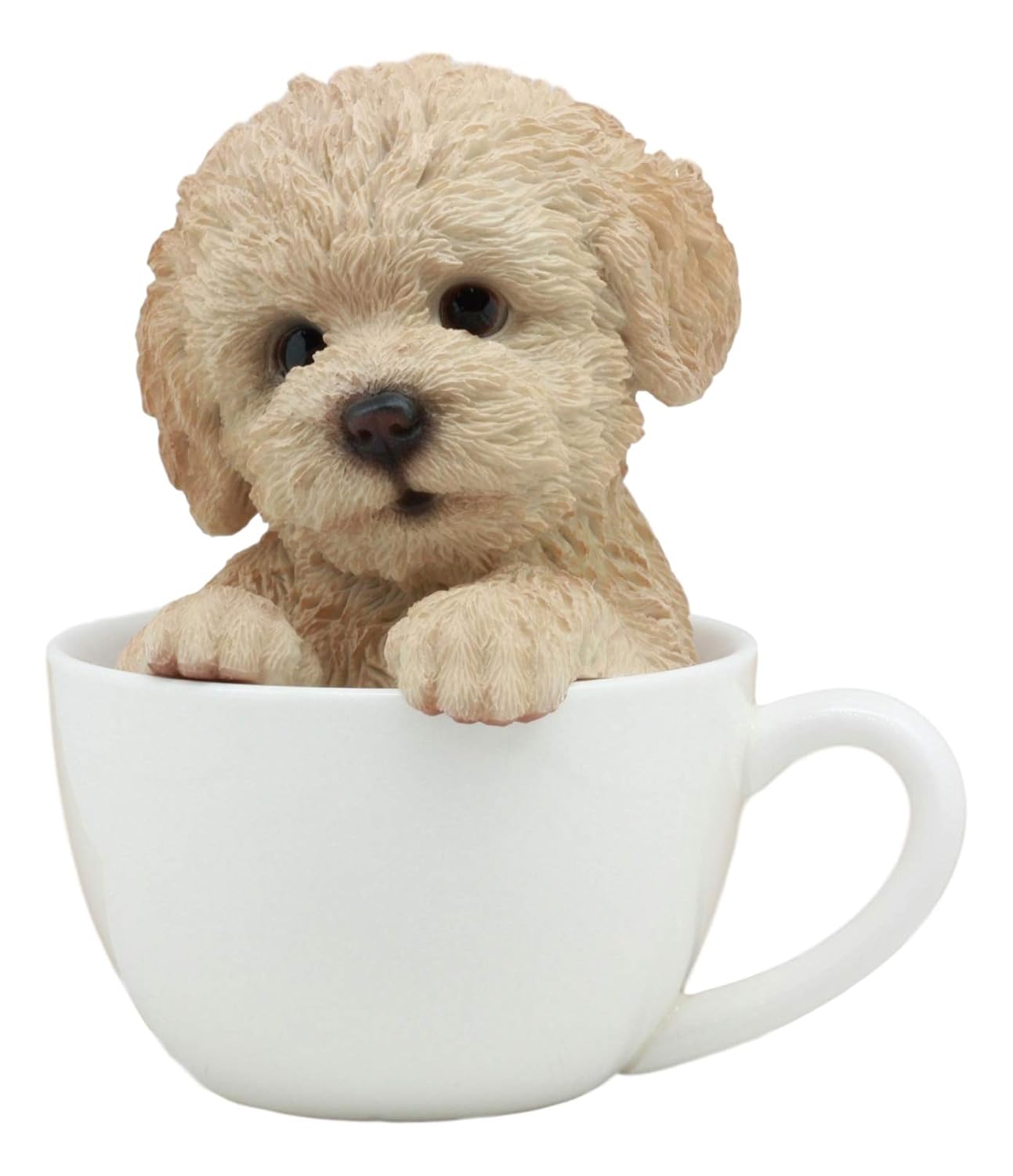 cup poodle dog