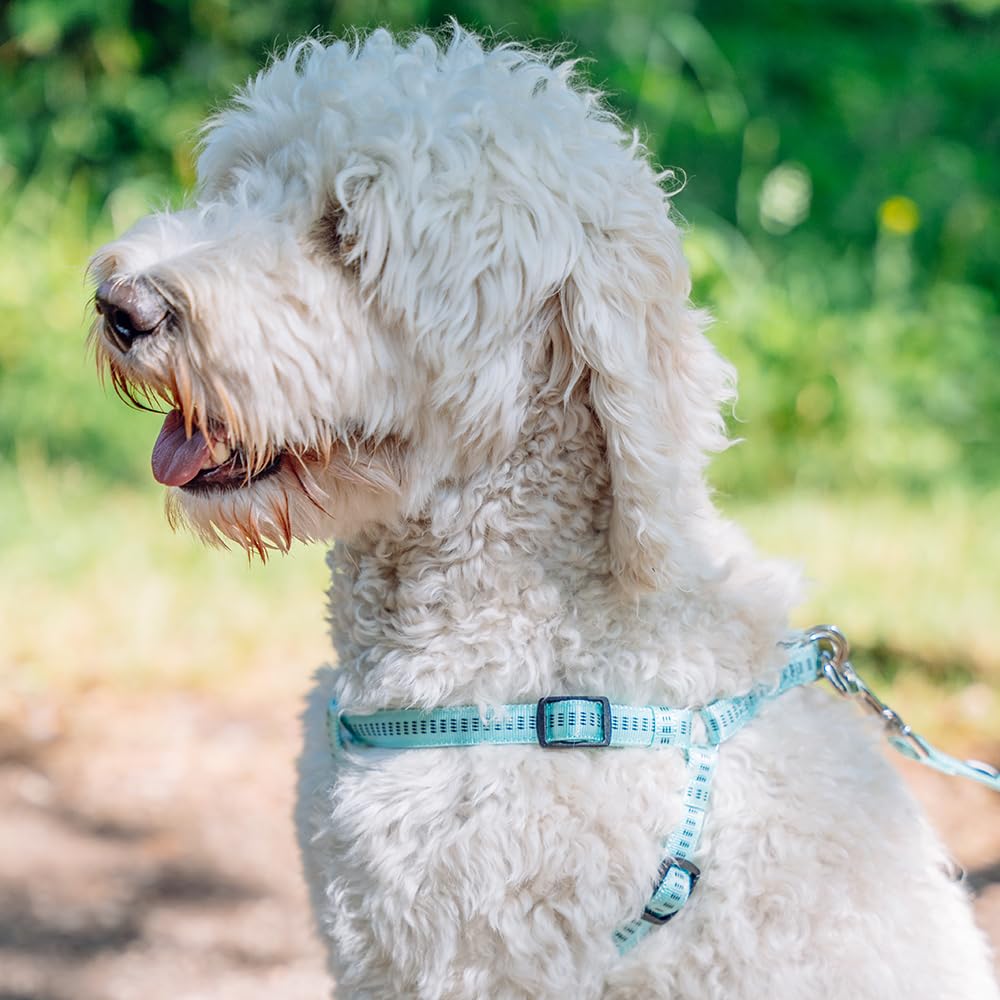 Nobby Soft Grip Dog Harness, 50-72 cm/20 mm, Light Green/Brown, Green-Chocolate, 50-72 cm/20 mm (Pack of 1) - Image 3