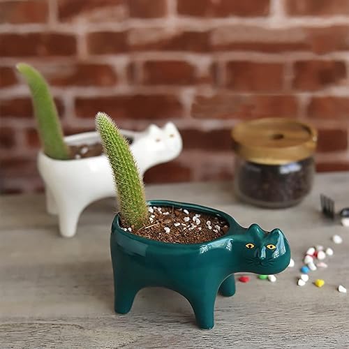 Miniatura 6 de DIYOMR Macetas para gatos suculentas mini macetas de cerámica para gatos contenedores para cactusplantas para decoración del hogar oficina