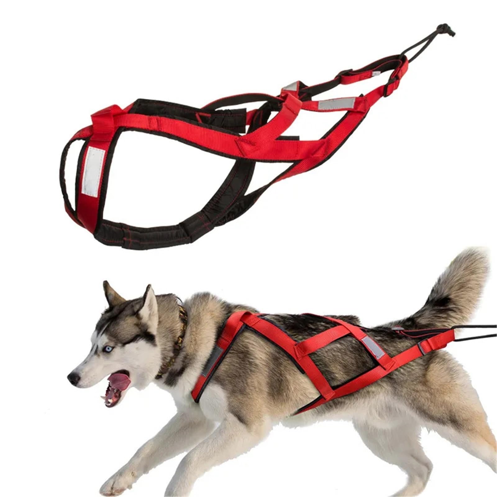 X-Back - Arnés de trineo para perros grandes, arnés de tracción de peso para canicross Skijoring y Scootering (K,XL)