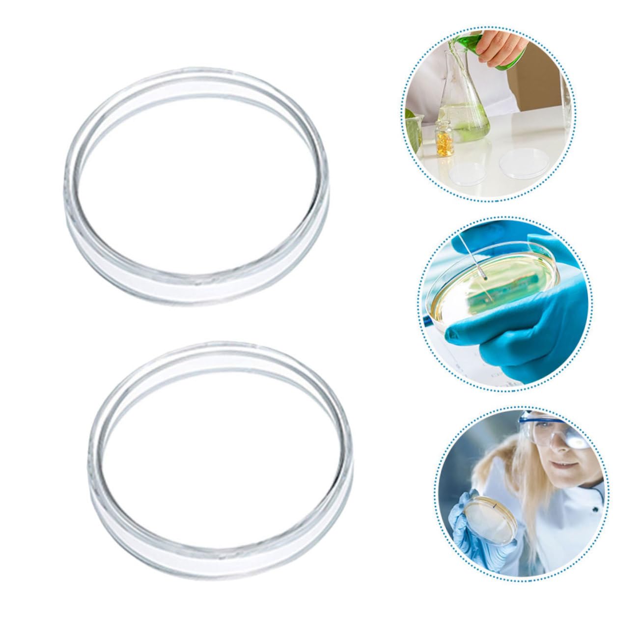 PRETYZOOM 5 Set Piastra Petri in Plastica Coltura Cellulare Tessuto Piastra Di Coltura Tissutale Piastra Di Trasferimento Attrezzatura Di Laboratorio Piastre Da Laboratorio 10 Pezzi * 5