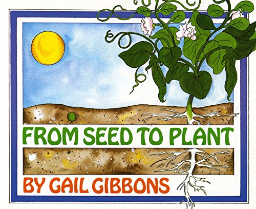 Télécharger From Seed to Plant (English Edition) Gratuit