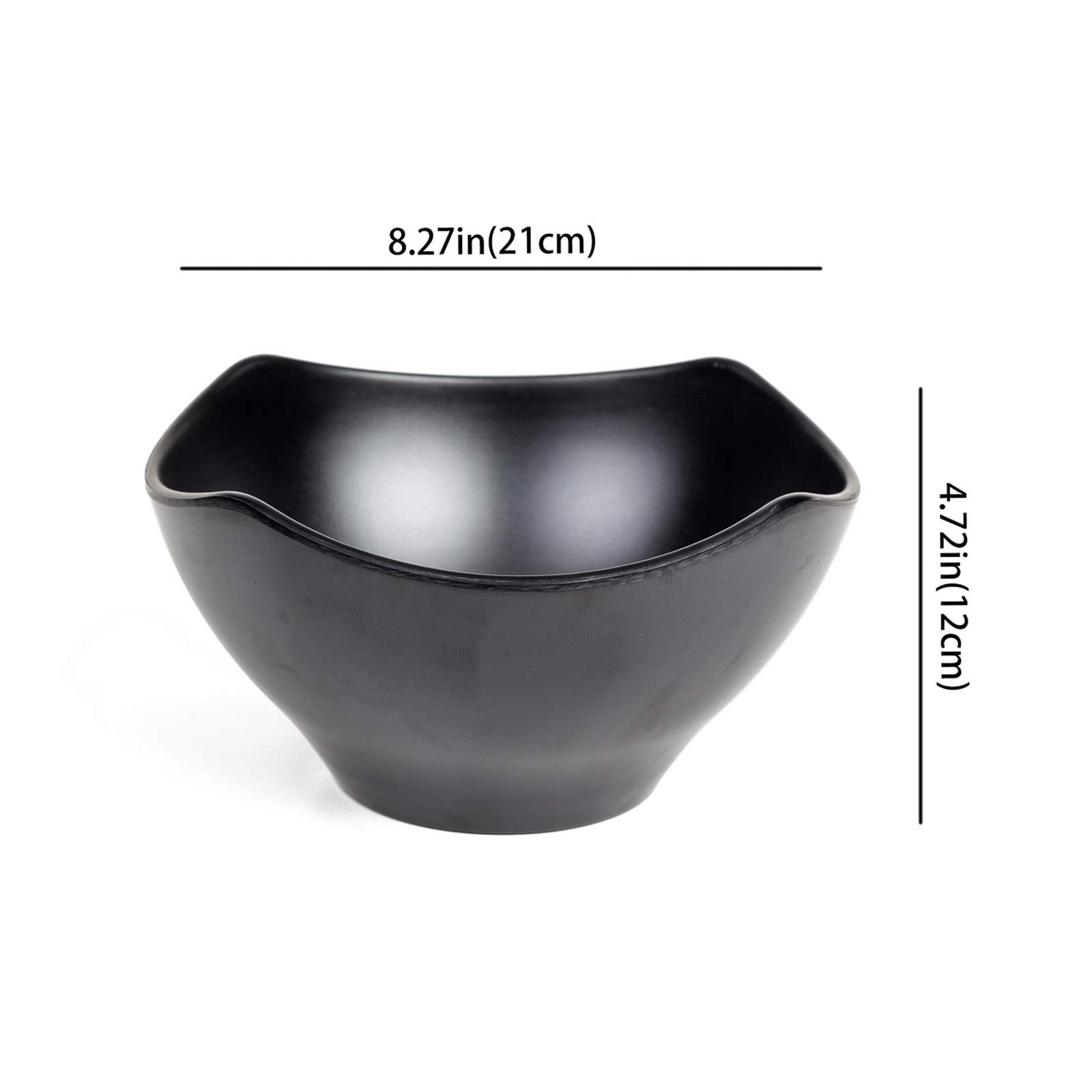 Suppenschale aus Melamin, groß, ca. 56 ml, für Udon Soba Pho asiatische Nudeln, 22 x 12 cm, 2 Schüsseln