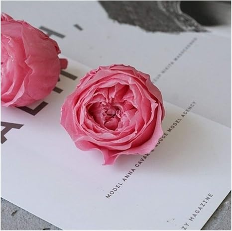 Amazon ドライフラワー 8本ドライフラワーオースチンローズ4 4 5センチメートルシングルaレベルは 新鮮な花diy素材 パッケージローズのプリザーブドフラワー Btxxyjp Color 3 Size フリー プリザーブドフラワー オンライン通販 Amazon ドライフラワー 8本ドライフラワーオースチンローズ4 4 5センチメートルシングルaレベルは 新鮮な花diy素材 パッケージローズのプリザーブドフラワー Btxxyjp Color 3 Size フリー プリザーブドフラワー オンライン通販