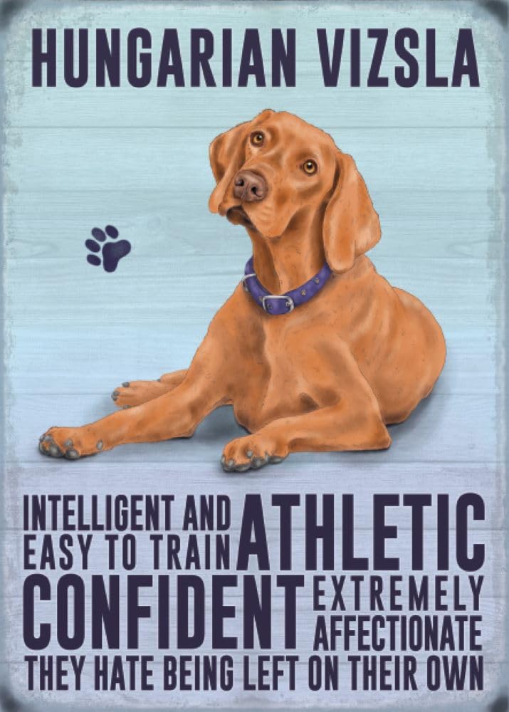 The Original Metal Sign Multicolour Small (150 X 200Mm) Metal Sign - Hungarian Vizsla
