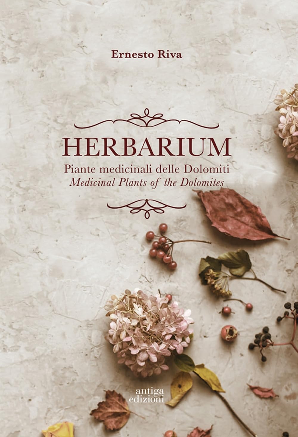 Herbarium. Piante Medicinali Delle Dolomiti. Medicinal Plants Of The Dolomites. Ediz. Bilingue - 4