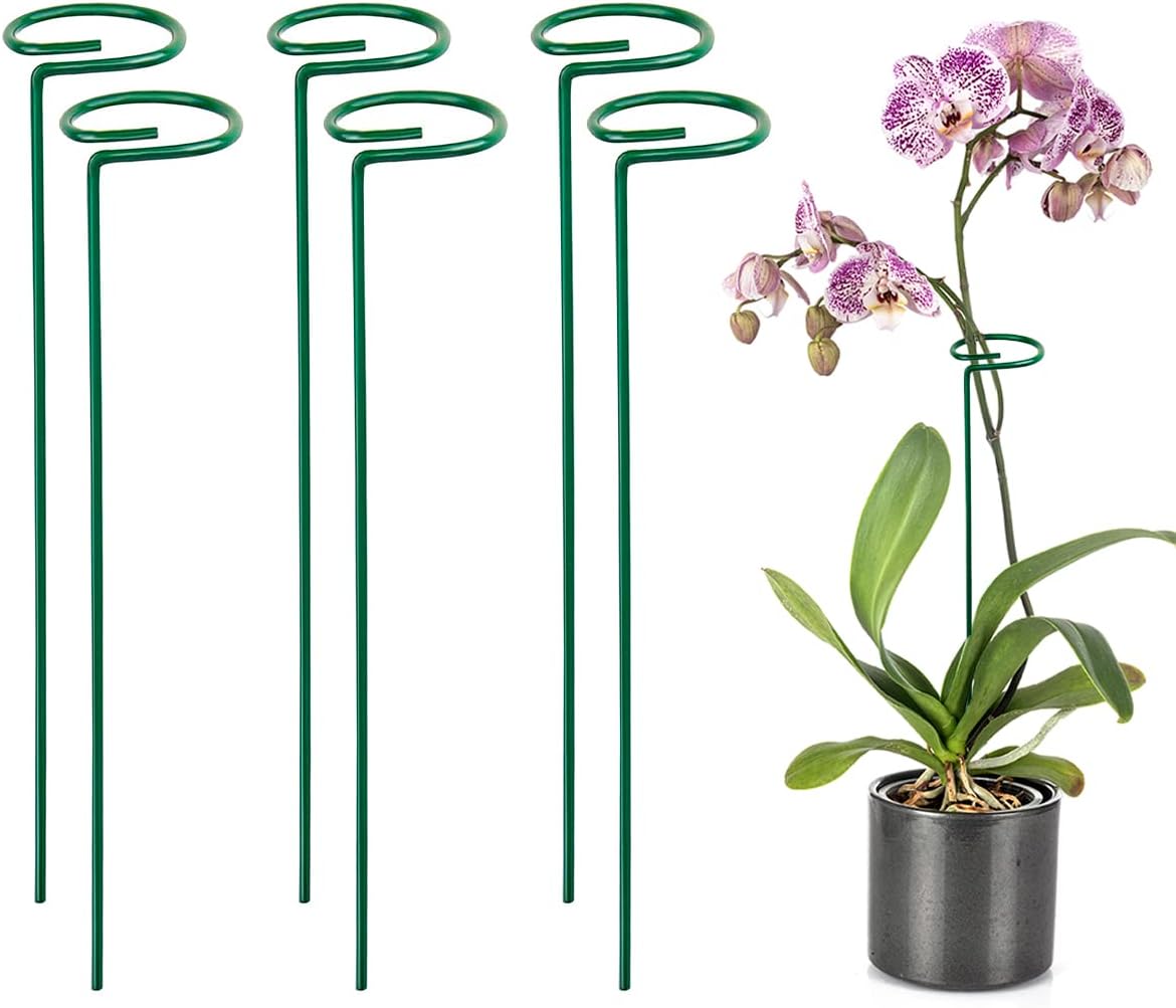 MAXXPORT Plant Stakes for Indoor Plants,Garden Single stem