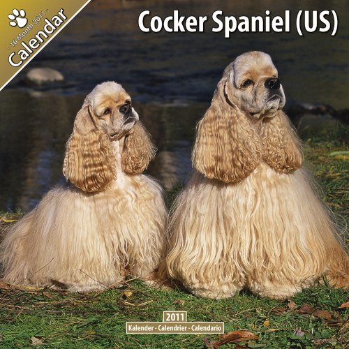  Cocker Spaniel (US)