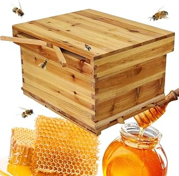 Amazon | iimono117 蜜蜂巣箱 養蜂箱 (幅55×奥行45×高さ34cm)ミツバチ