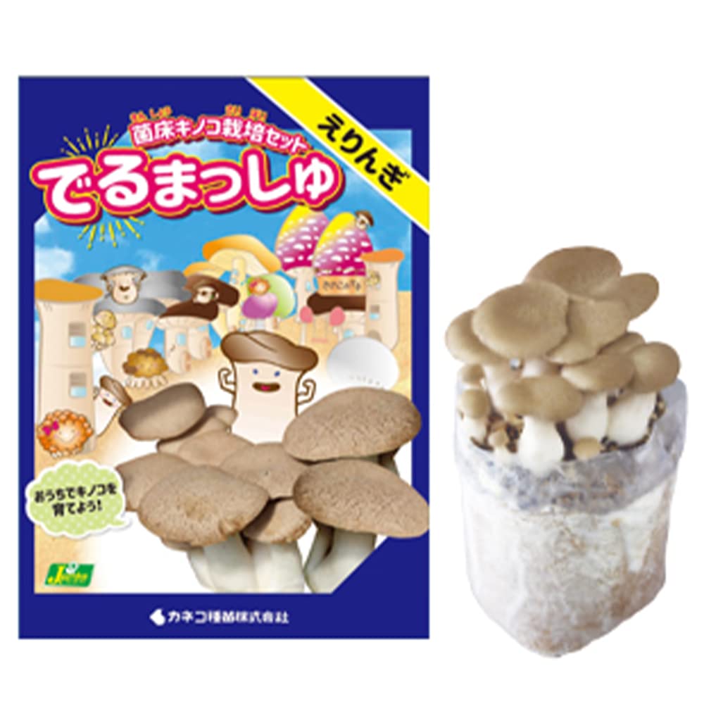 Amazon｜菌床きのこ栽培セット