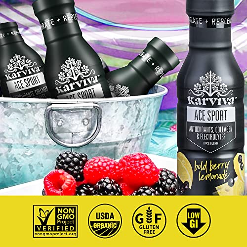 Ace Recovery Antioxidants Juice, Energy Booster Drinks For Sports, Real Fruit, Natural Collagen, Electrolytes, Bpa Free Antioxidant Drink, 6 Bottles, 12 Fl Oz (Bold Berry Lemonade) #TOP3