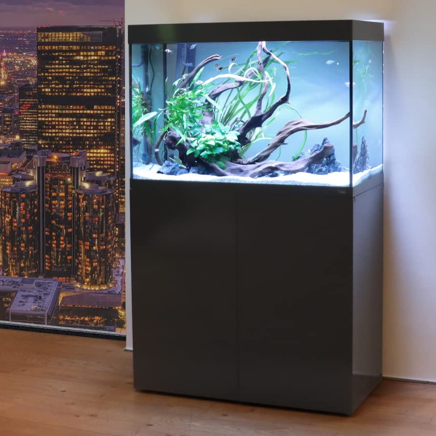 Amtra Alux 220 Led White Combi - Acquario professionale in vetro da 220L con coperchio e mobile in legno, per pesci di acqua dolce e salata, kit professionale, colore bianco