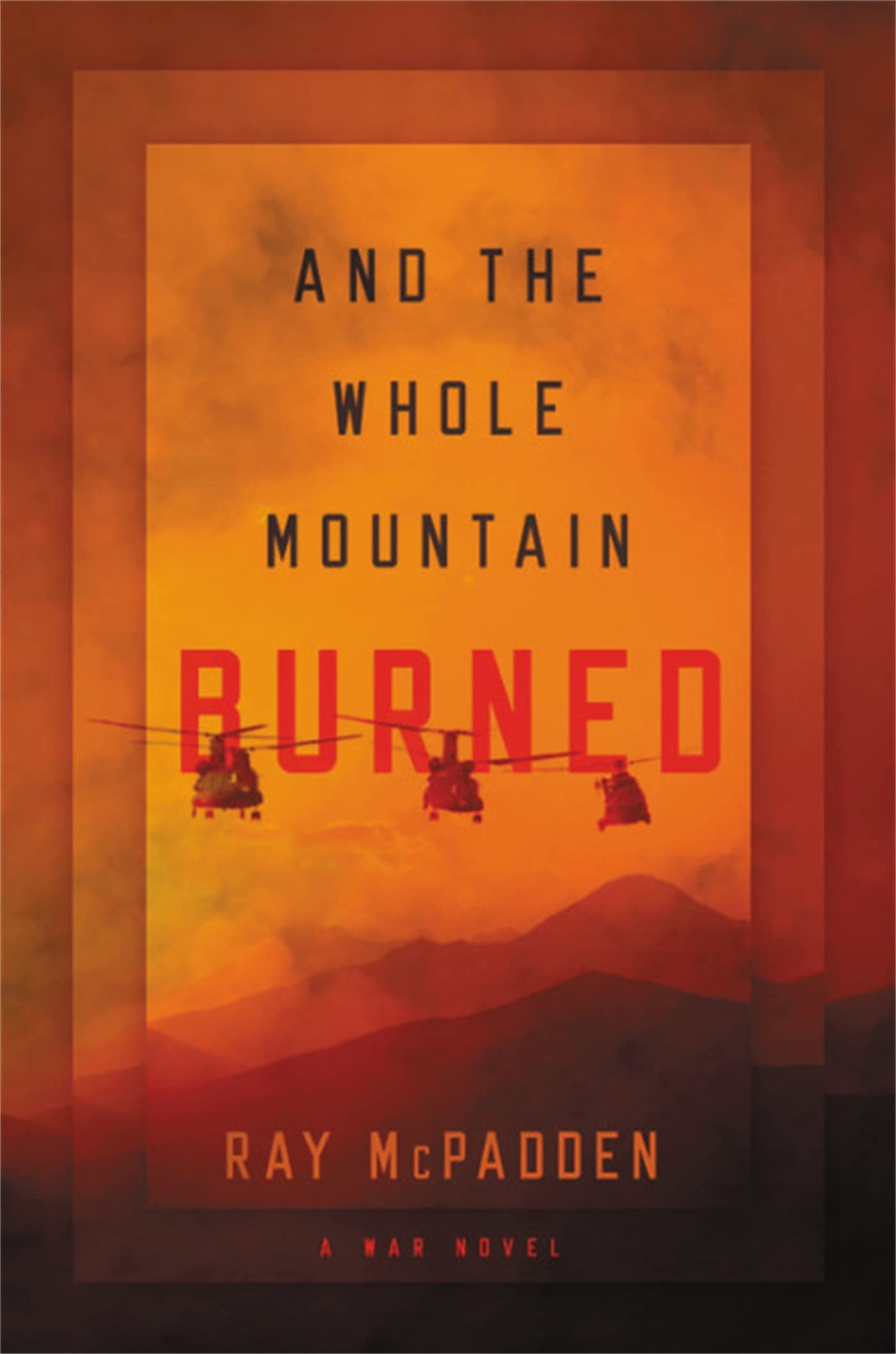 Buy And the Whole Mountain Burned — BookShops.in