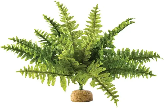 Exo Terra Boston Fern: Realistic Artificial Terrarium Plant for Rainforest Habitats