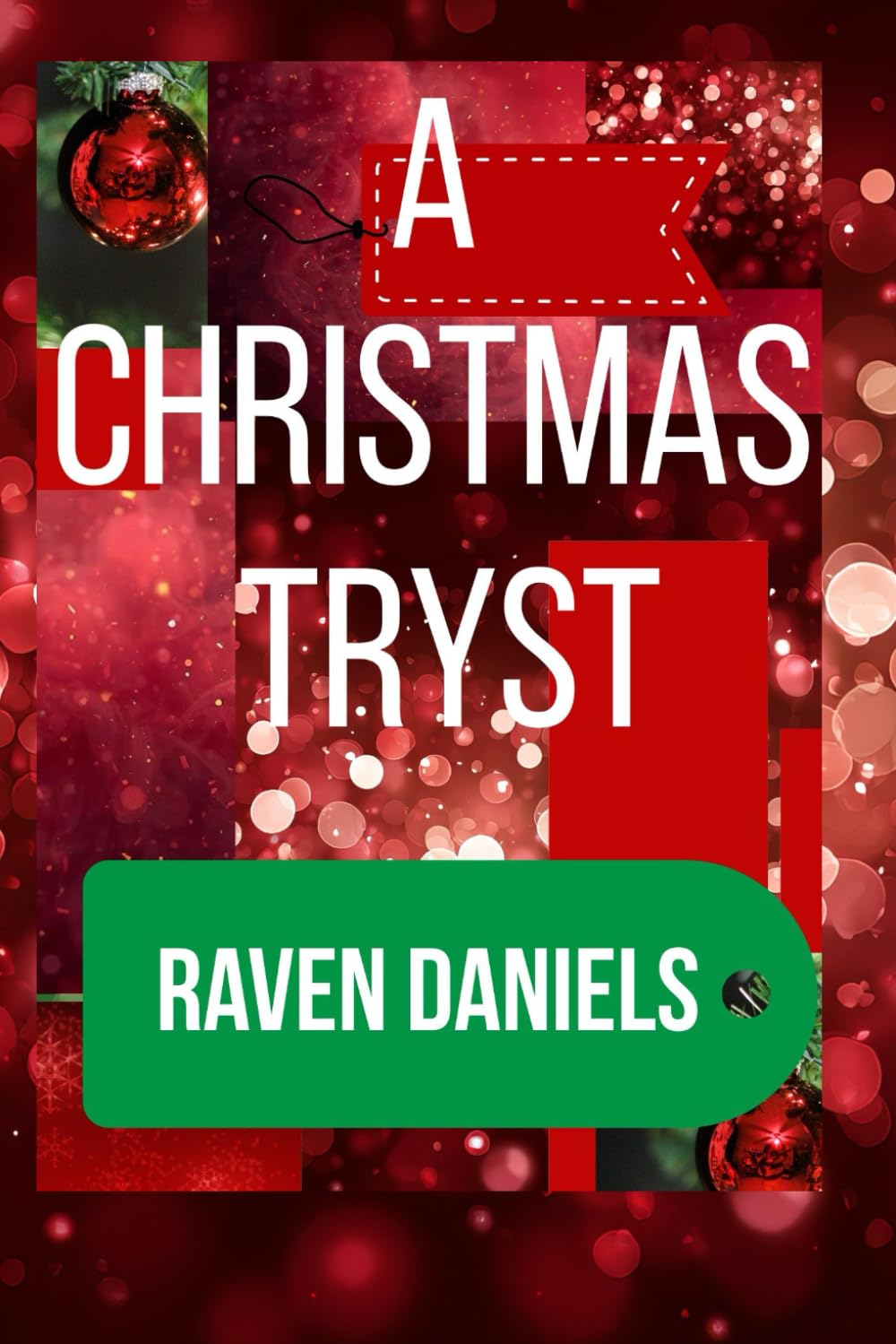 A Merry Christmas Tryst: Their love for animals lit a spark that brought joy to their hearts.