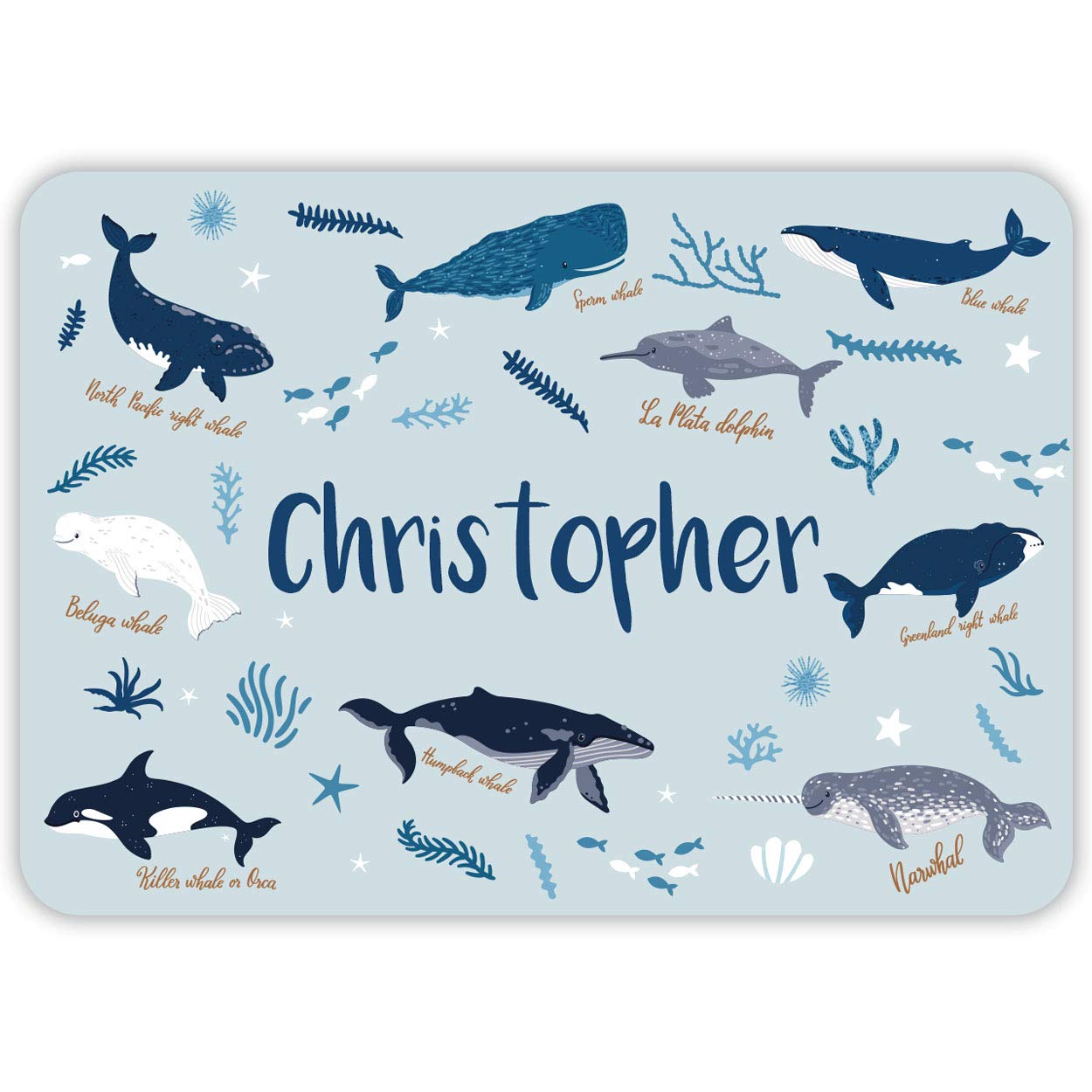 Paper Themes Personalised Placemat for Kids (Whale Species) โ image 1
