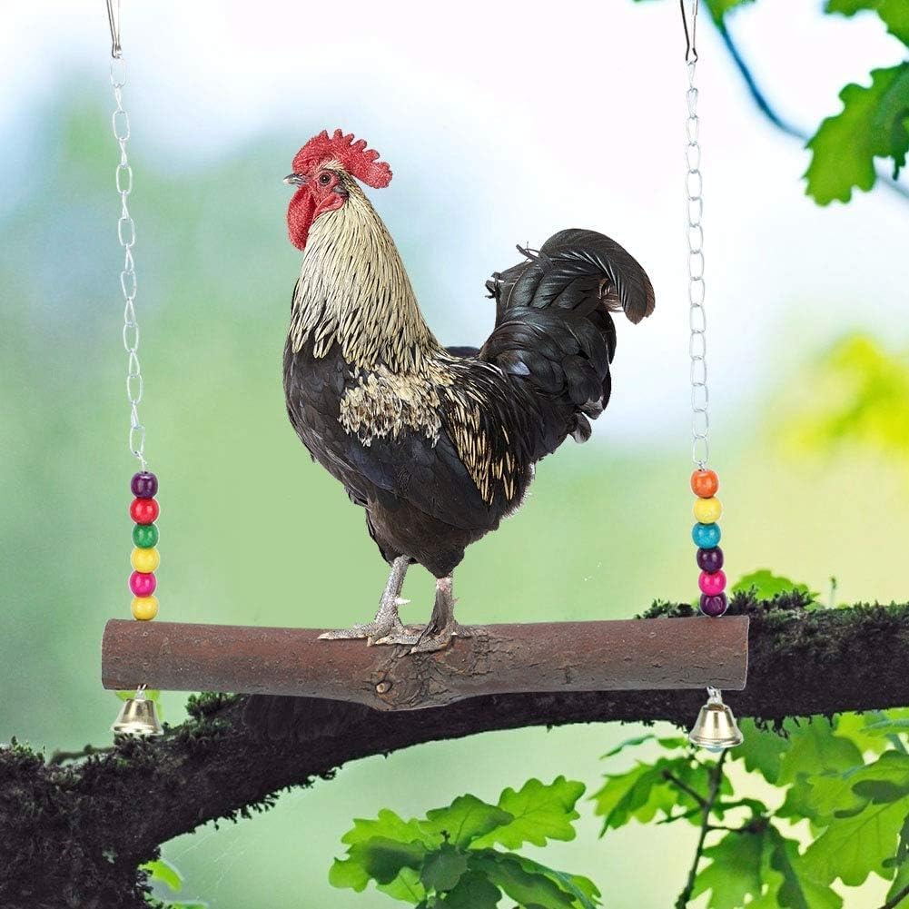 Altalena di Pollo, Altalene appese di Pollo Giocattoli, Giocattoli mordaci con Blocchi di Legno Altalena di Pollo con Campana per pappagalli Medi e Grandi Cacatua, Grigio Africano,