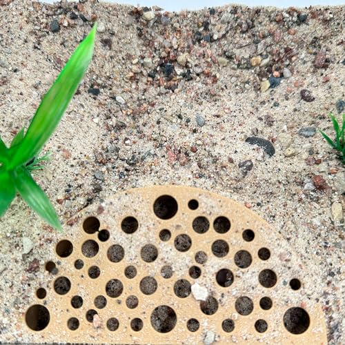 Image of CTWPets Shrimp Breeding Protection Set, 3-Pack Bundle with Hide Dome, Half Protector, Breeding Protector (Black)