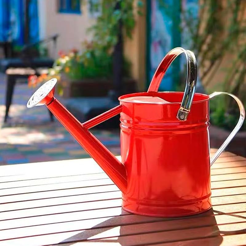 Metal Watering Can 1 Gallon for Indoor and Outdoor Plants Red | Plants watering can with detachable nozzle and movable handle made and flowers, patio pots, planters and garden care