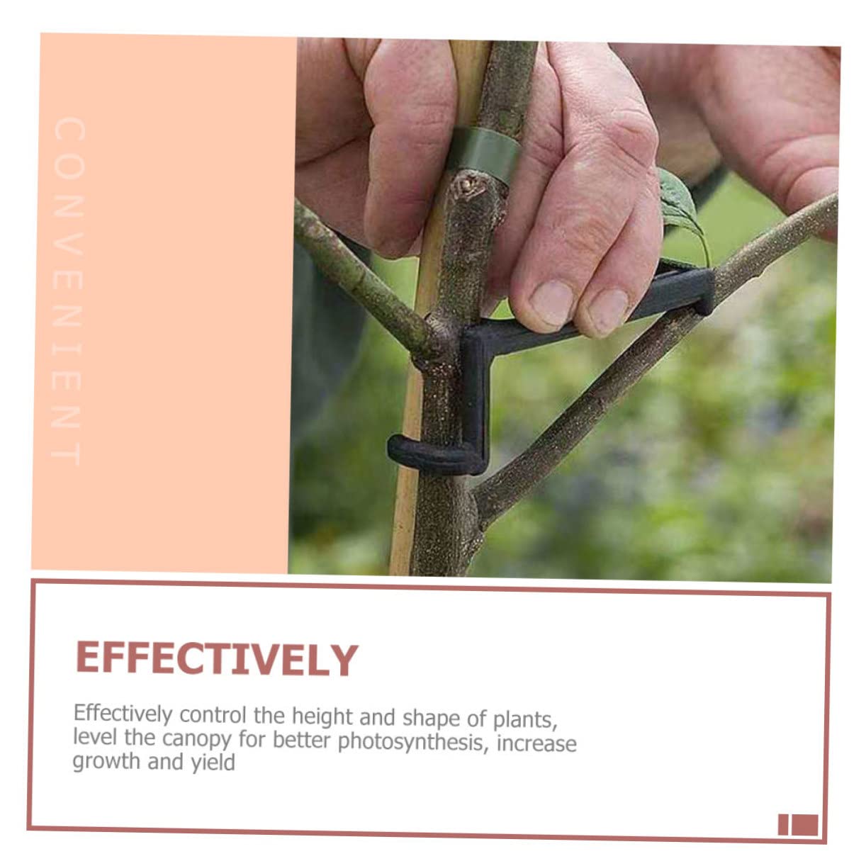 UPKOCH 2 Sätze Pflanzenzweig Bieger Clips Verstellbare Halter Für Obstbäume Und Blumen Zur Formung Und Unterstützung Von Pflanzen Langlebig Und Wetterbeständig 25 Stücke * 2