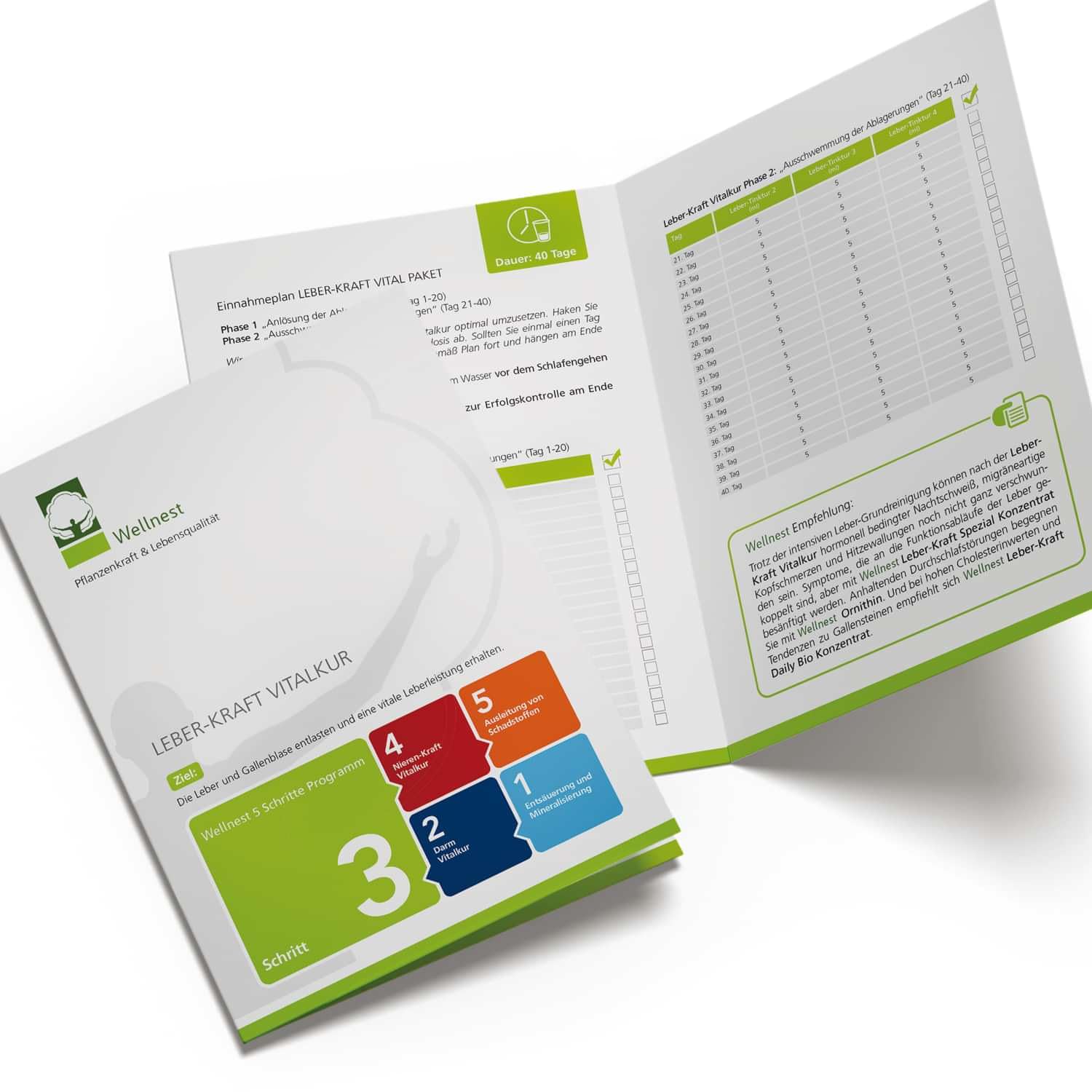 Leber-Kraft Detox-Kur-Paket (Entgiftungs-Kurpaket für 40 Tage Leberreinigung nach TCM) - 100% pflanzlich - einfache Handhabung - sehr gut wirksam bei Leber- und Durchschlafbeschwerden