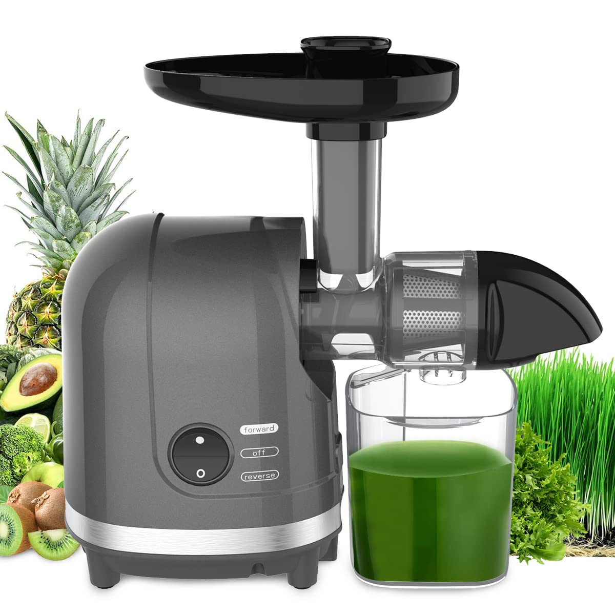 Slow Juicer for Celery Ginger Beet Carrot, Masticating Cold Press Juicer 200W Motor, Pulp Separated, East to Clean Dishwasher Safe, BPA Free, Juicer Machine Vegetable & Fruit