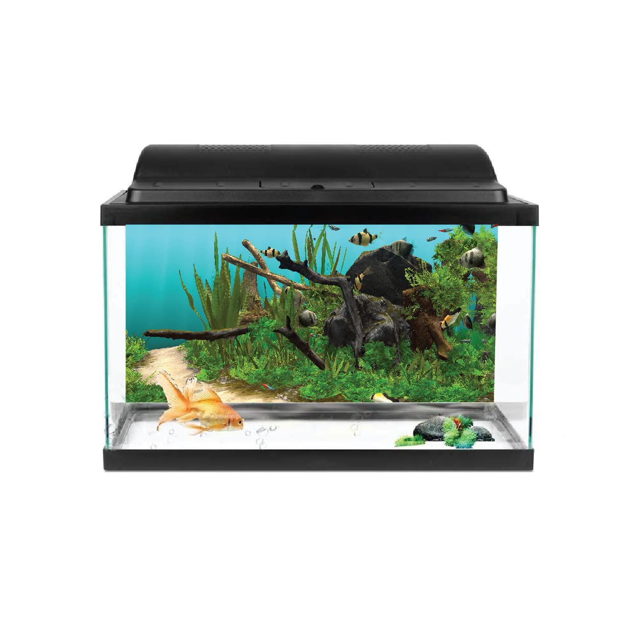 VVWV® Aquarium Background Stickers Fish Tank Waterproof Vinyl Printed Multicolored Sticker (76 X 30 CMS) (B0BWFD3QKV) Amazon Price History, Amazon Price Tracker