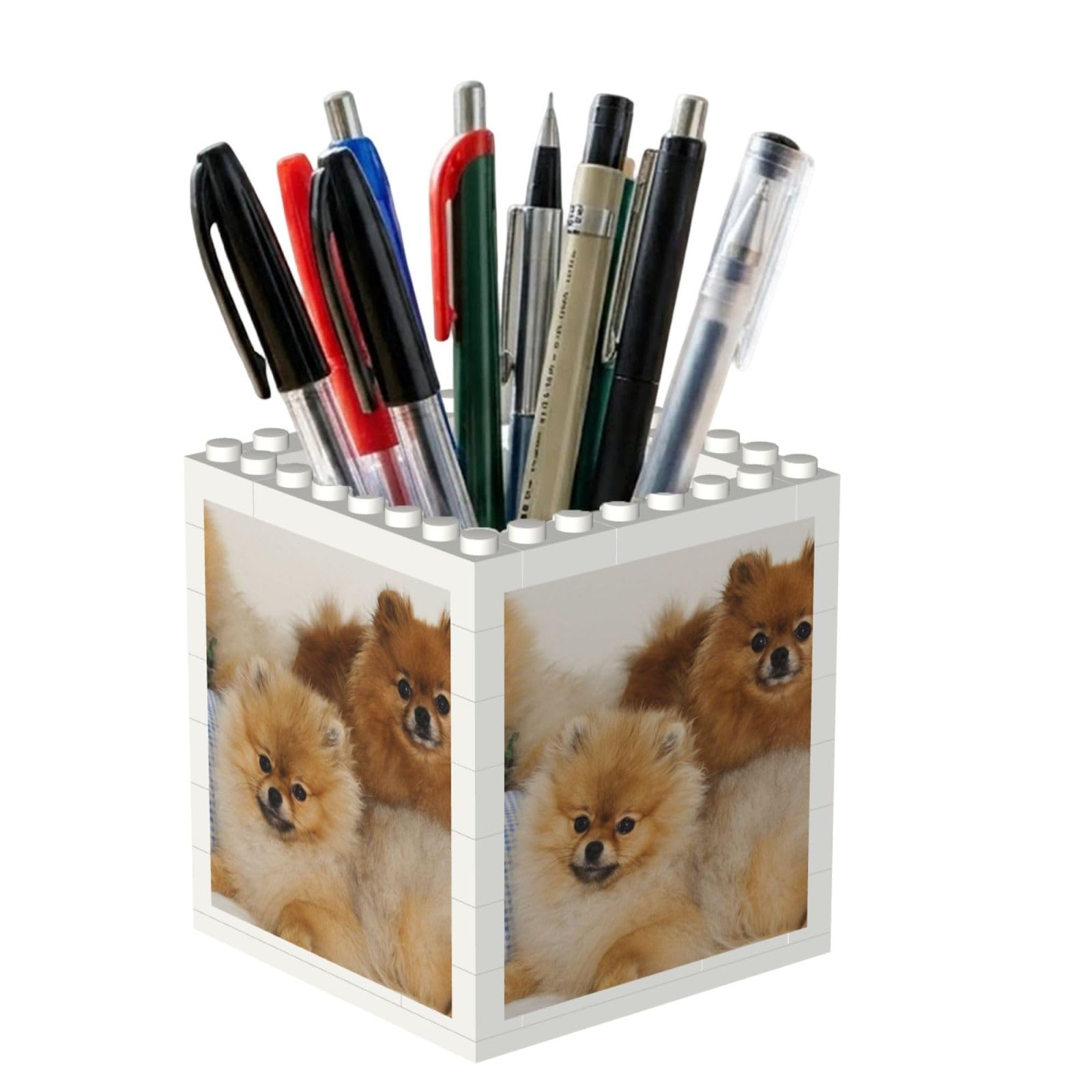 Poadnly Cute Pomeranian Printed, Pen Pot Pencil Holder for Office Home School, Compact Desk Organiser for Office Stationery
