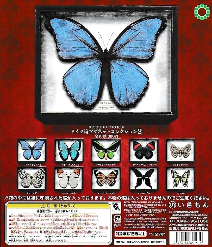 標本箱　ドイツ箱　2個セット ドイツ箱 2個セット(昆虫標本用) ドイツ箱マグネット