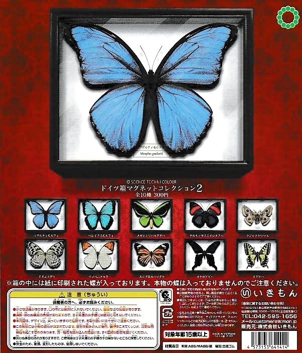 Amazon.co.jp: サイエンステクニカラー ドイツ箱マグネット