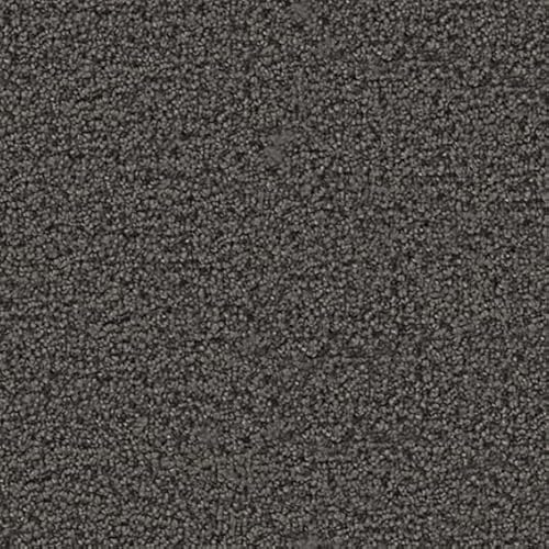 y[J[ybgV[Y V[UI ԃTCYzhEdEh(SH)Eh_jRہEVітłɂEJ[ybgEO~(イ)EOEJbg (CZ-6062 `R[O[, Ԓ4.5(210×364cm))